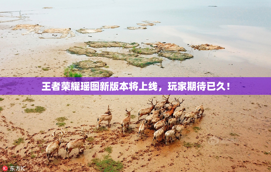 王者荣耀瑶图新版本将上线，玩家期待已久！
