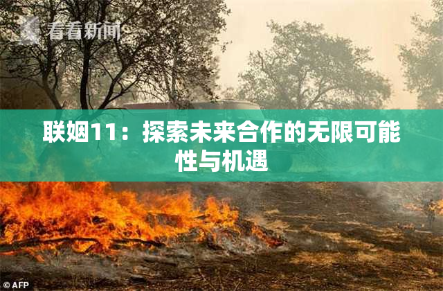 联姻11：探索未来合作的无限可能性与机遇