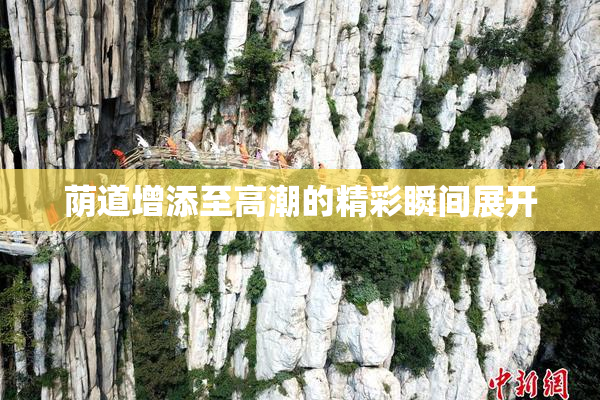 荫道增添至高潮的精彩瞬间展开