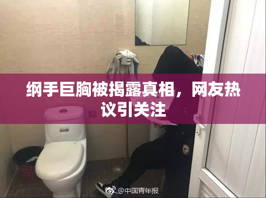 纲手巨胸被揭露真相，网友热议引关注