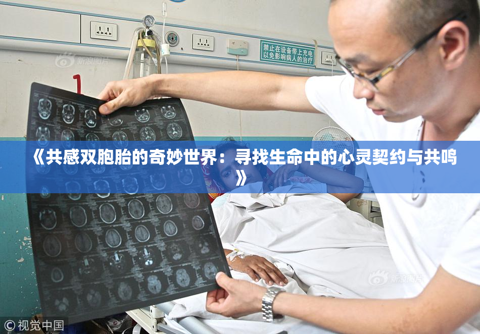 《共感双胞胎的奇妙世界：寻找生命中的心灵契约与共鸣》