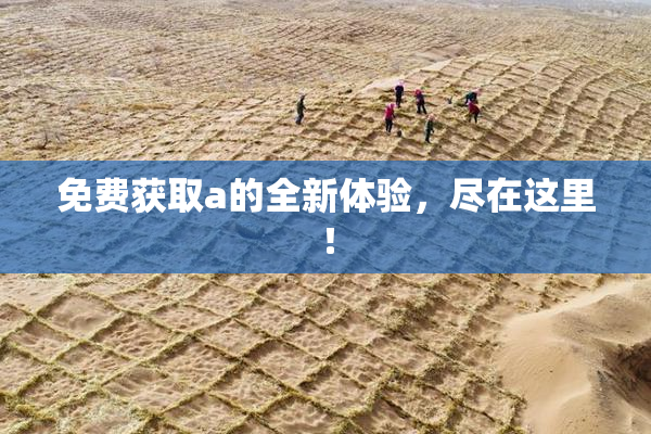 免费获取a的全新体验，尽在这里！
