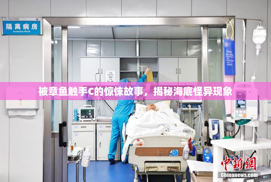 被章鱼触手C的惊悚故事，揭秘海底怪异现象