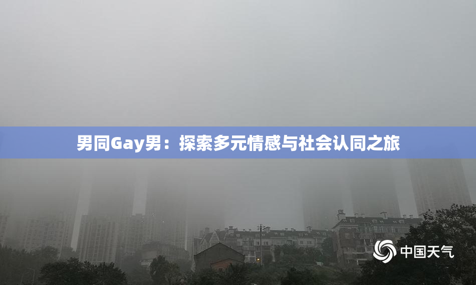 男同Gay男：探索多元情感与社会认同之旅