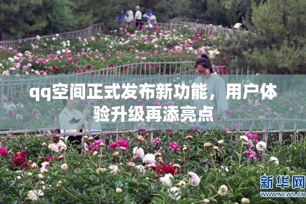 qq空间正式发布新功能，用户体验升级再添亮点