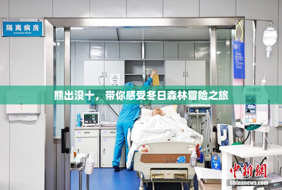 熊出没十，带你感受冬日森林冒险之旅
