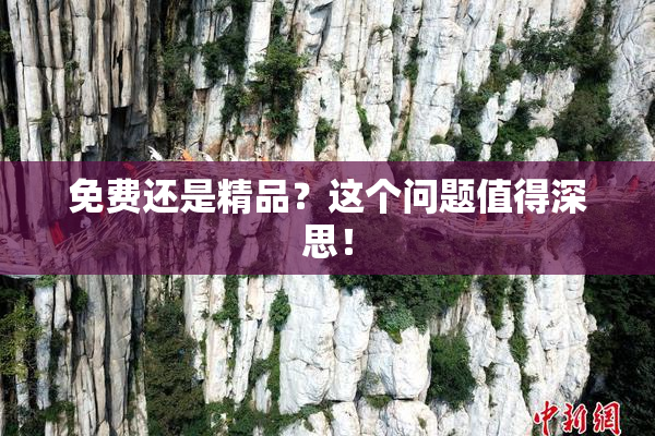 免费还是精品？这个问题值得深思！