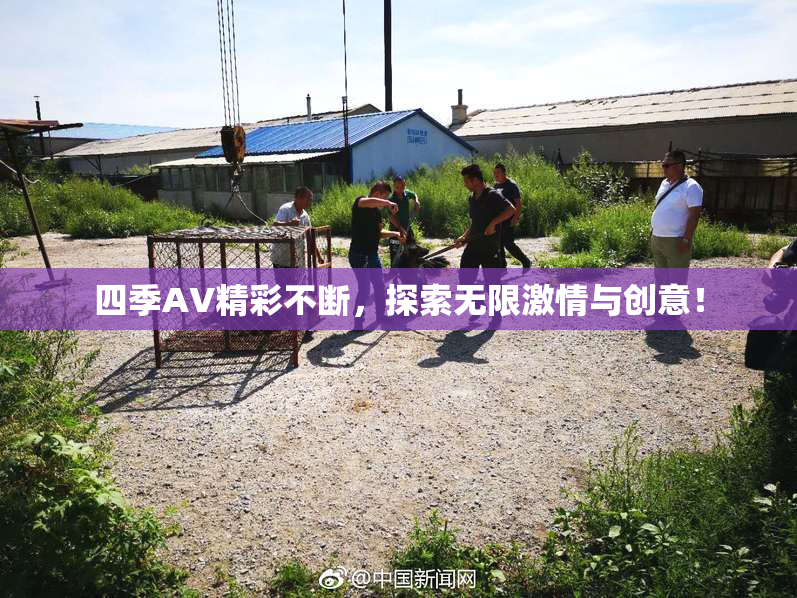 四季AV精彩不断，探索无限激情与创意！