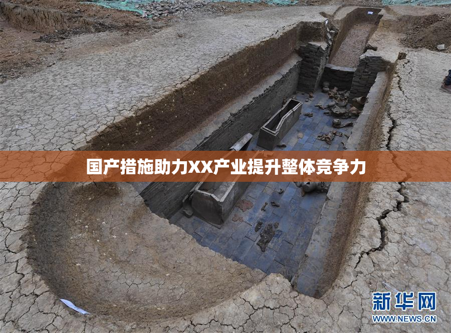 国产措施助力XX产业提升整体竞争力