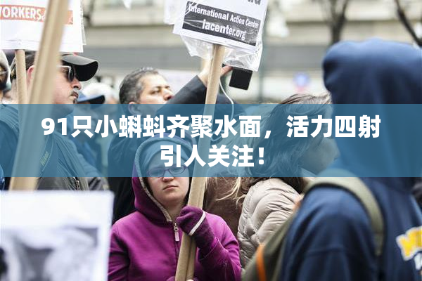 91只小蝌蚪齐聚水面，活力四射引人关注！