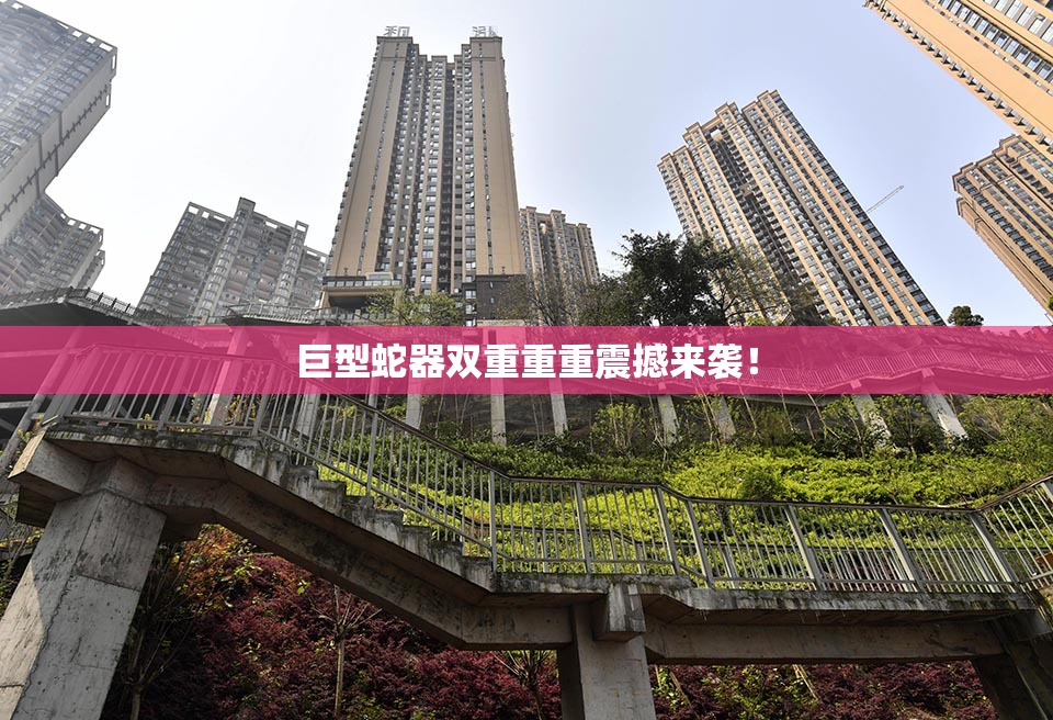巨型蛇器双重重重震撼来袭！