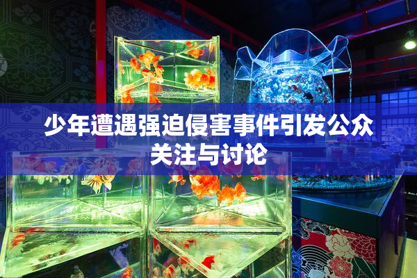 少年遭遇强迫侵害事件引发公众关注与讨论