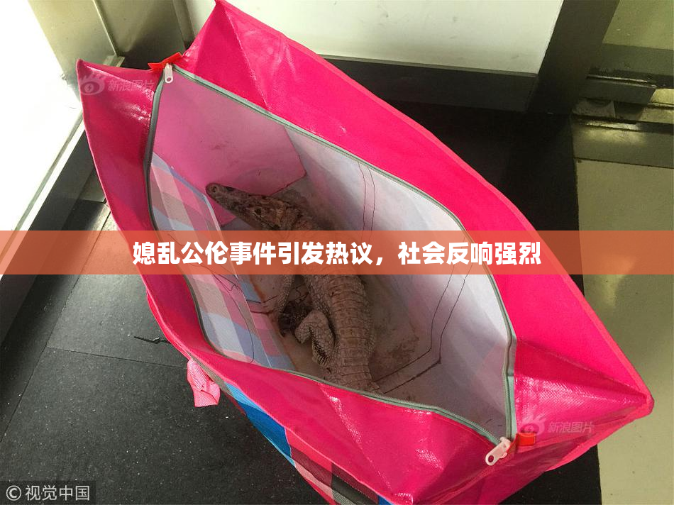 媳乱公伦事件引发热议，社会反响强烈