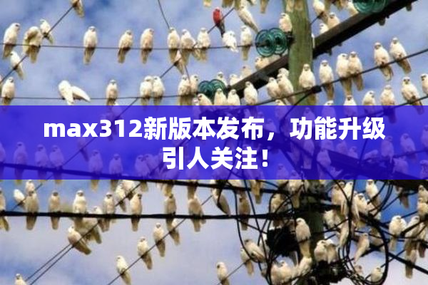 max312新版本发布，功能升级引人关注！