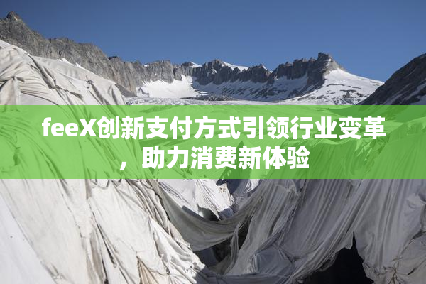 feeX创新支付方式引领行业变革，助力消费新体验