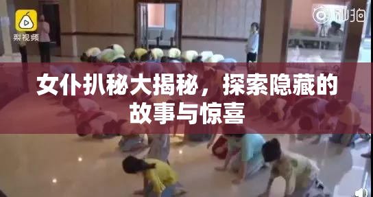女仆扒秘大揭秘，探索隐藏的故事与惊喜