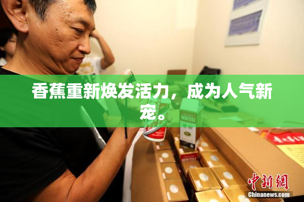 香蕉重新焕发活力，成为人气新宠。