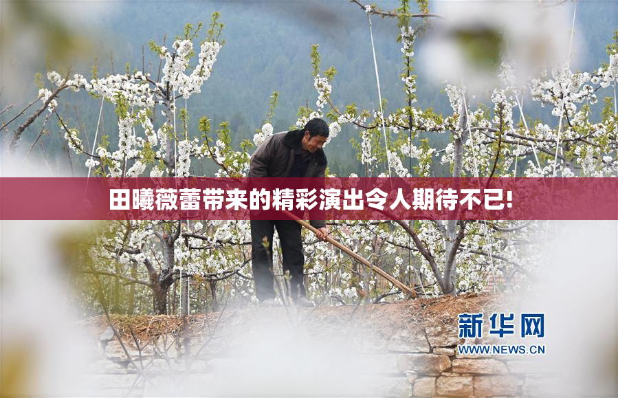 田曦薇蕾带来的精彩演出令人期待不已!
