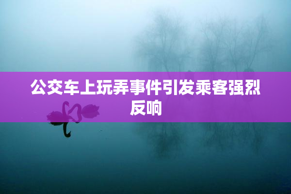 公交车上玩弄事件引发乘客强烈反响