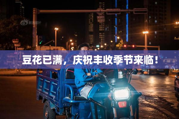 豆花已满，庆祝丰收季节来临！