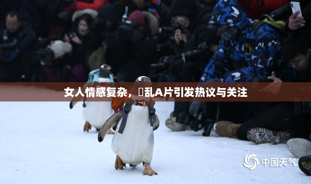 女人情感复杂，婬乱A片引发热议与关注