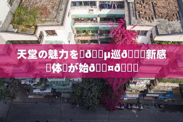 天堂の魅力を駆🈵巡🌃新感覚体験が始🖤🌃
