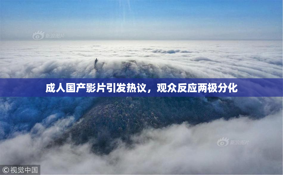 成人国产影片引发热议，观众反应两极分化