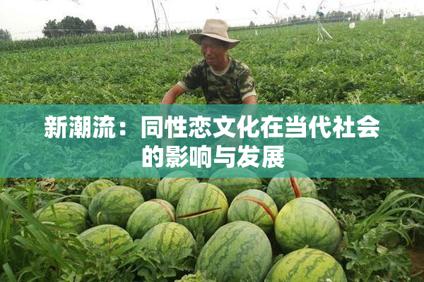 新潮流：同性恋文化在当代社会的影响与发展