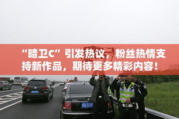 “暗卫C”引发热议，粉丝热情支持新作品，期待更多精彩内容！