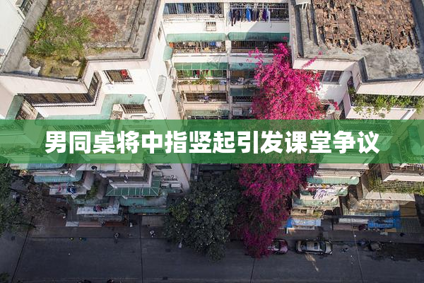 男同桌将中指竖起引发课堂争议
