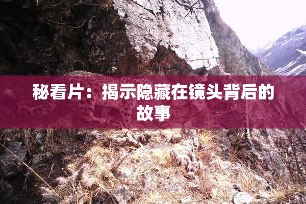 秘看片：揭示隐藏在镜头背后的故事