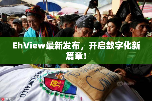 EhView最新发布，开启数字化新篇章！