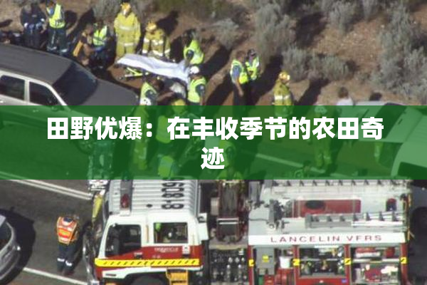 田野优爆：在丰收季节的农田奇迹