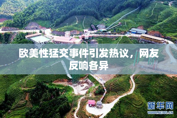 欧美性猛交事件引发热议，网友反响各异
