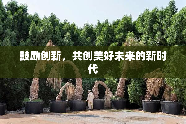 鼓励创新，共创美好未来的新时代