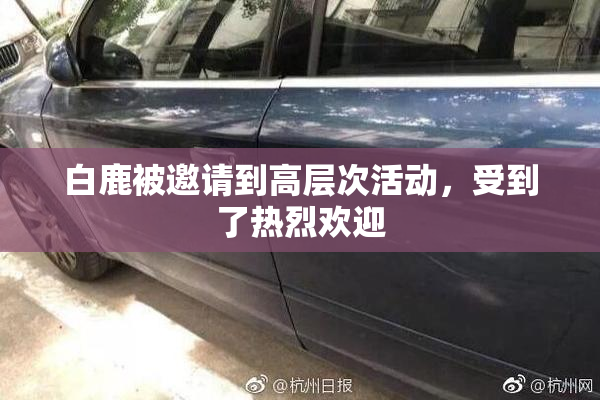 白鹿被邀请到高层次活动，受到了热烈欢迎