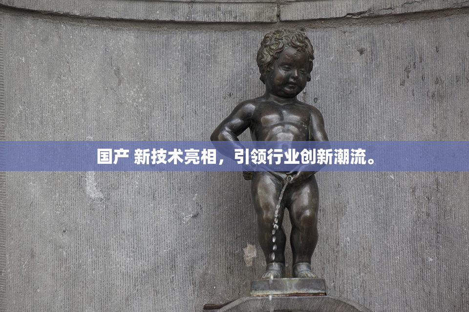 国产 新技术亮相，引领行业创新潮流。
