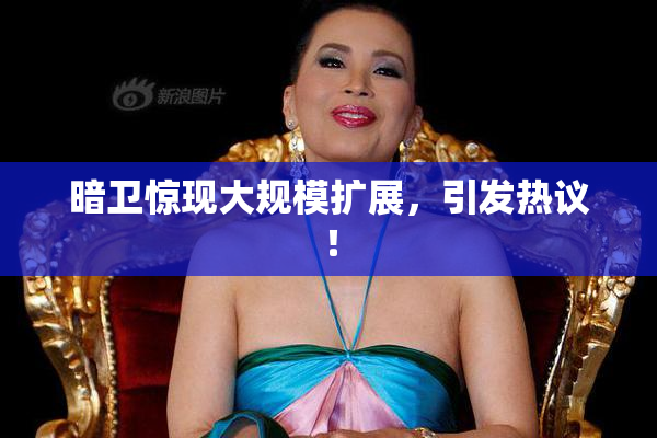 暗卫惊现大规模扩展，引发热议！