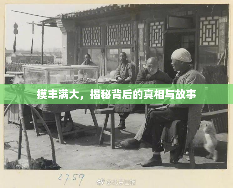 摸丰满大，揭秘背后的真相与故事