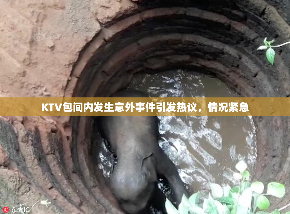 KTV包间内发生意外事件引发热议，情况紧急