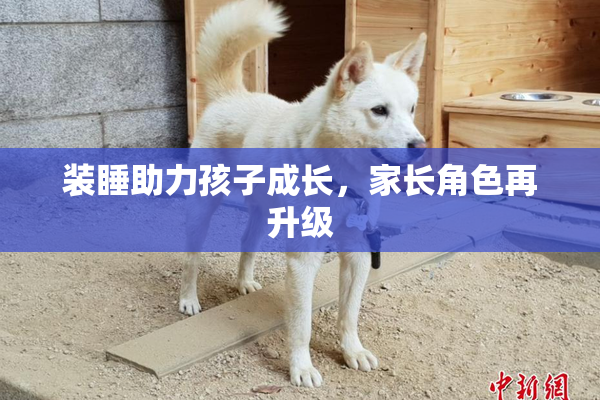 装睡助力孩子成长，家长角色再升级