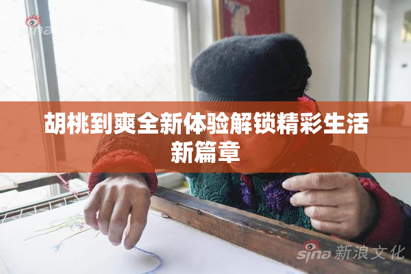 胡桃到爽全新体验解锁精彩生活新篇章