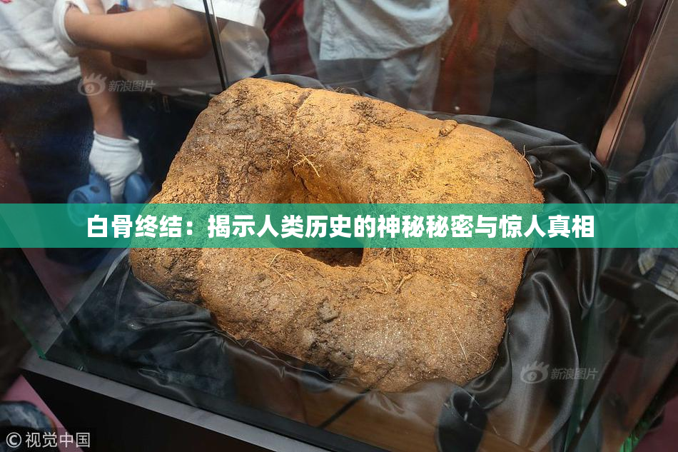 白骨终结：揭示人类历史的神秘秘密与惊人真相