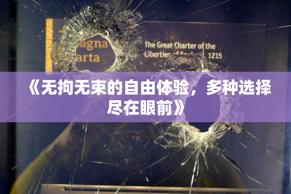 《无拘无束的自由体验，多种选择尽在眼前》