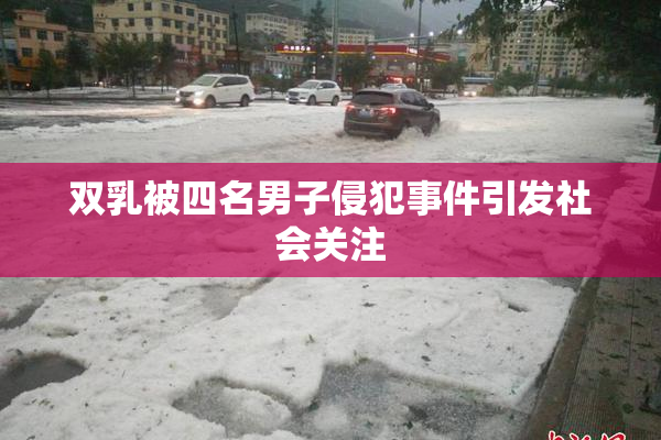 双乳被四名男子侵犯事件引发社会关注
