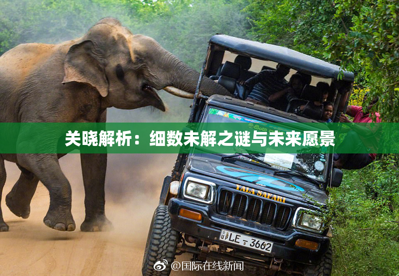 关晓解析：细数未解之谜与未来愿景