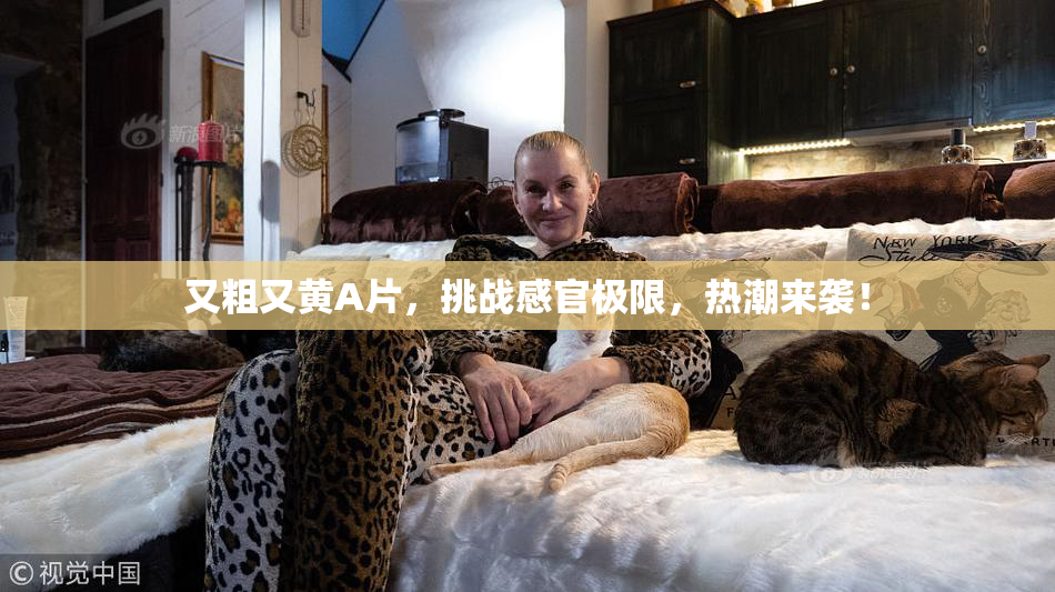 又粗又黄A片，挑战感官极限，热潮来袭！