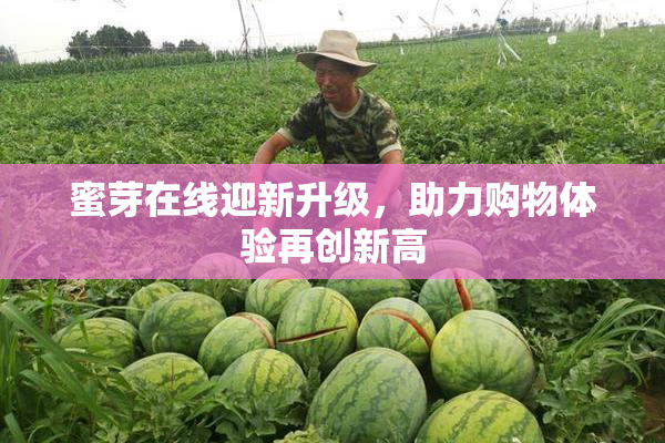 蜜芽在线迎新升级，助力购物体验再创新高