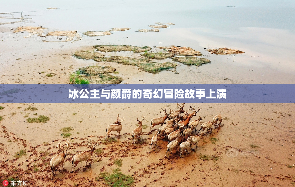 冰公主与颜爵的奇幻冒险故事上演