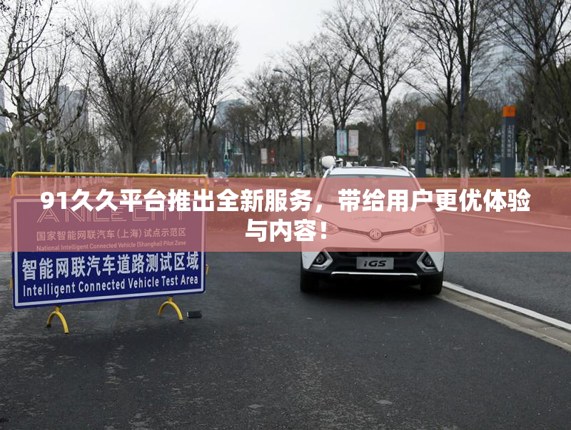 91久久平台推出全新服务，带给用户更优体验与内容！